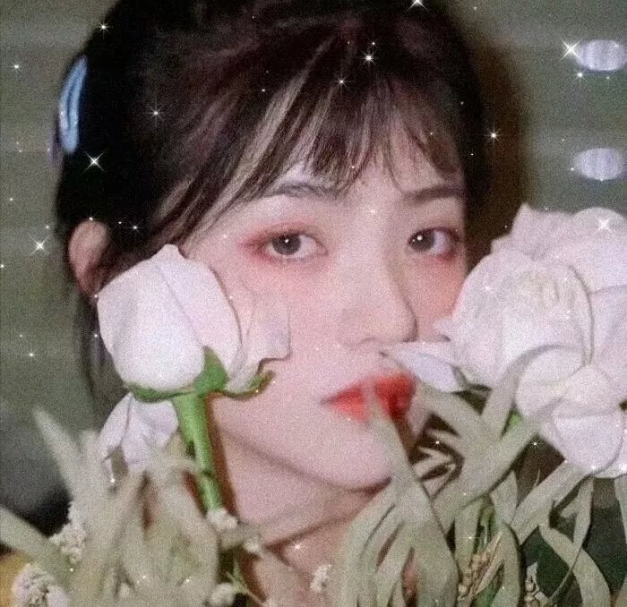 开心见诚